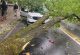 Üsküdar’da seyir halindeki araçların üzerine ağaç devrildi